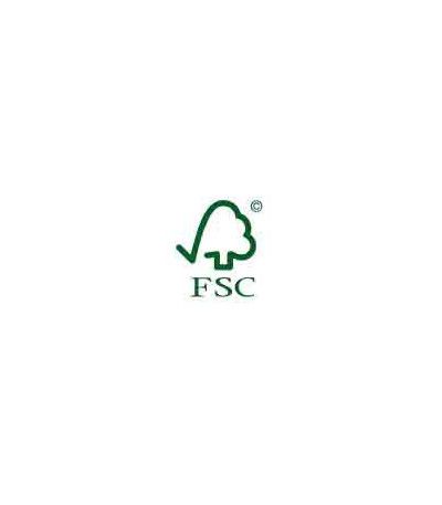 Enveloppes blanches recyclées 162x229 Era Pure GPV Green certifiées FSC