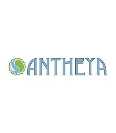 Savon au lait de chèvre Régulateur de transpiration ANTHEYA Antheya - 1