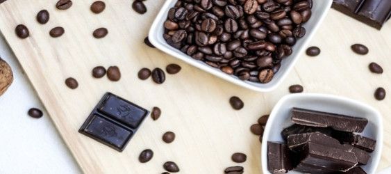 Histoire du chocolat et du café 1/2 Journée internationale